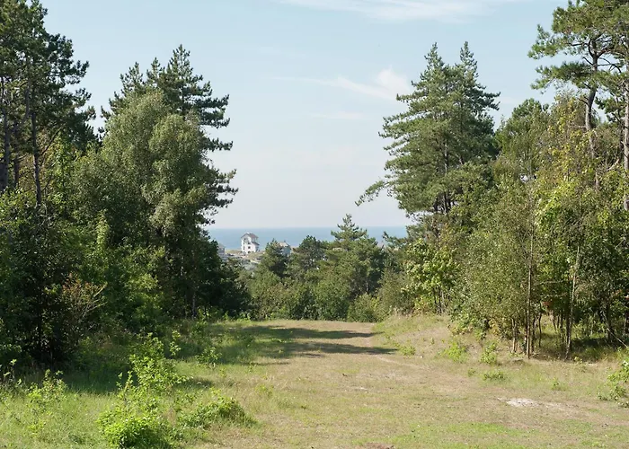 Lägenhet In Near The