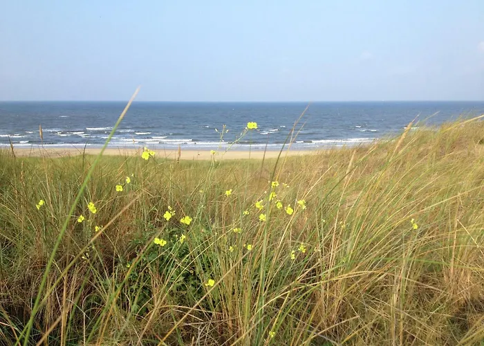 In Near The Lägenhet Bergen aan Zee