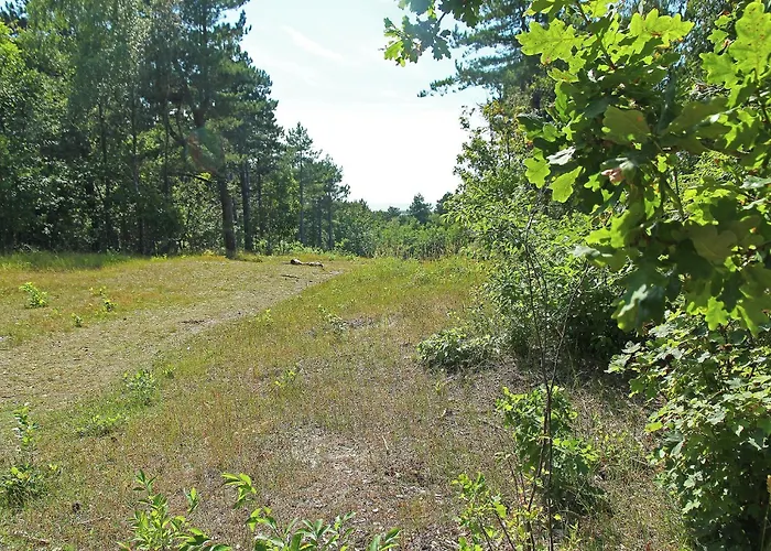 아파트 In Near The